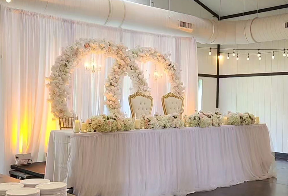 Double Circle Arch Backdrop
